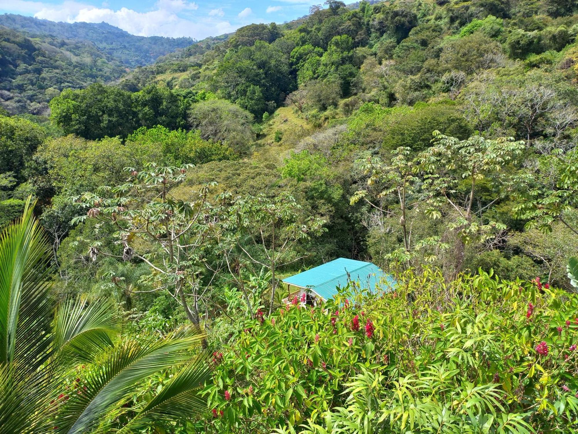 Casa El Colibri Villa Naranjo  Ngoại thất bức ảnh