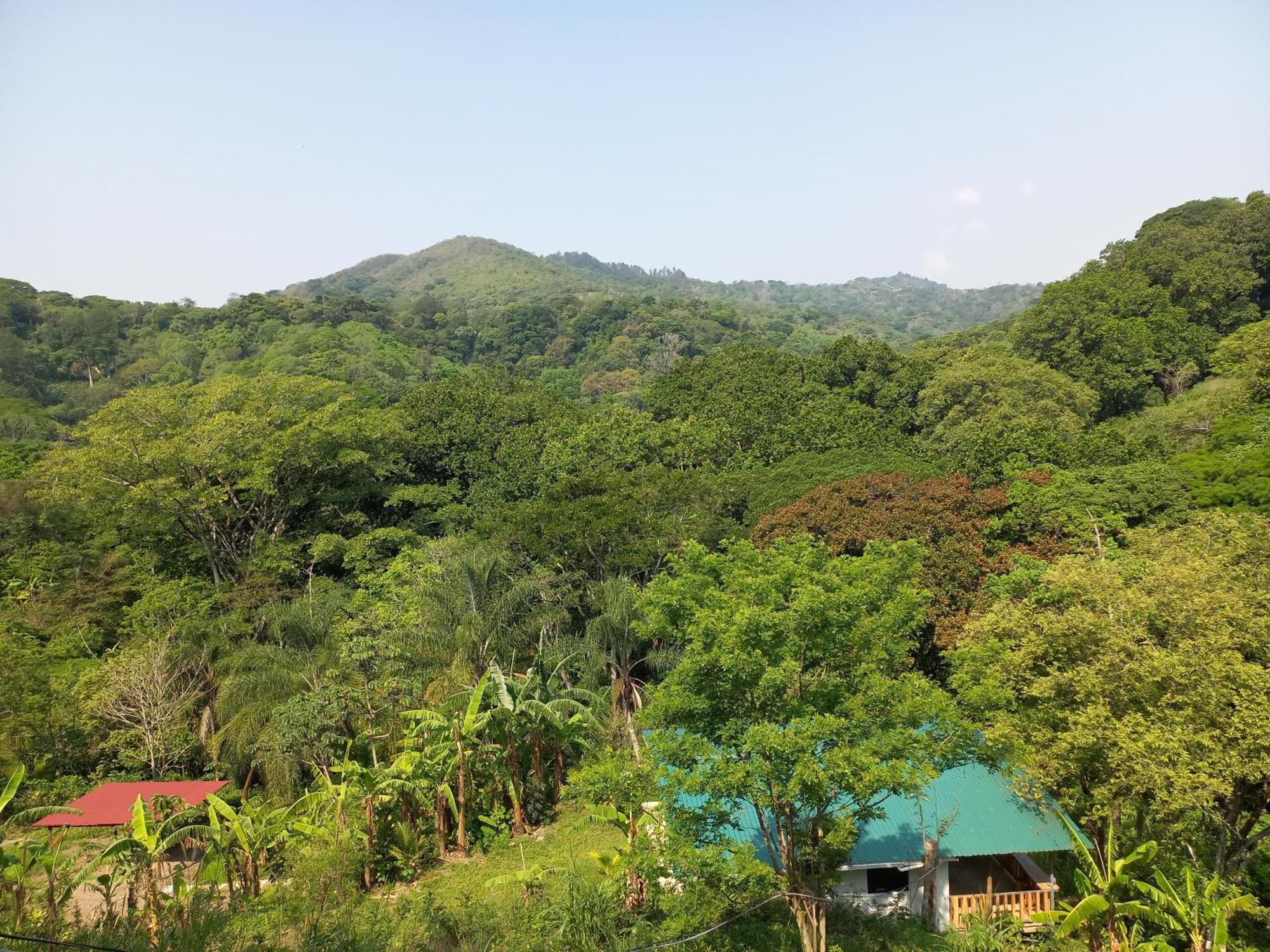 Casa El Colibri Villa Naranjo  Ngoại thất bức ảnh
